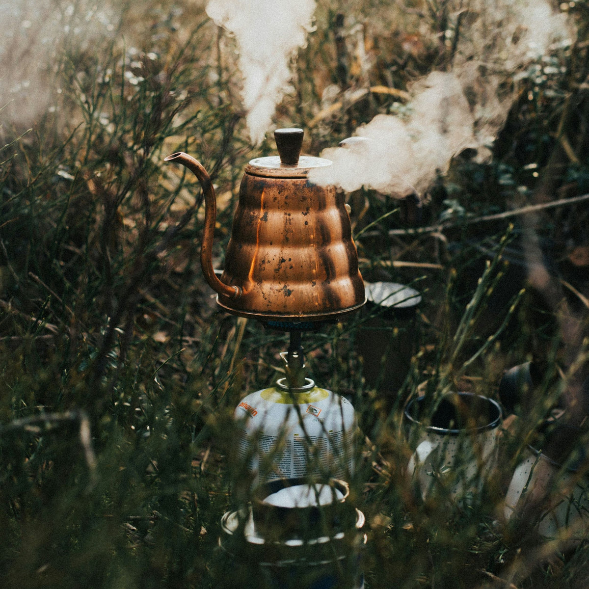All Coffee